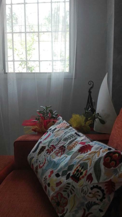 Colpi Di Timone B&B ฟีนาเลลีกูเร ภายนอก รูปภาพ