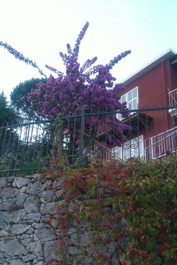 Colpi Di Timone B&B ฟีนาเลลีกูเร ภายนอก รูปภาพ