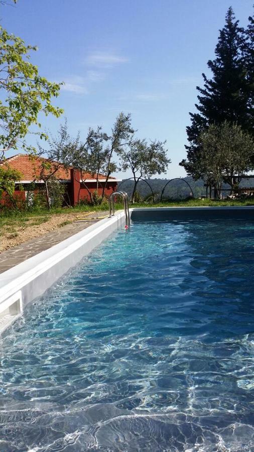 Colpi Di Timone B&B ฟีนาเลลีกูเร ภายนอก รูปภาพ